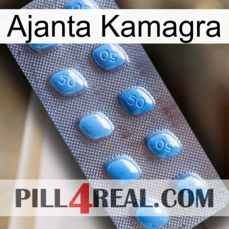 Ajanta Kamagra viagra3